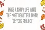 Online Store Font