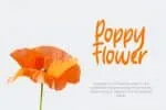 Orange Butter Font