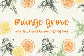 Orange Grove Script