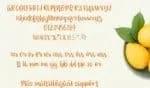 Orange Grove Script