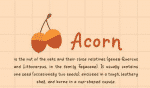 Orange Leafy - Autumn Display Font