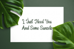 Orange Melon Font