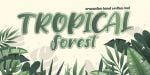Orangutan Font