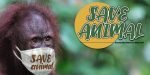 Orangutan Font