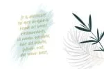 Organic Jalapeno Font