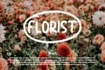 Organic Peach Font