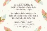 Origin Ethnic Font