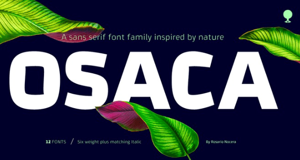 Osaca Font Family - 12 Fonts