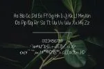 Oskosh Handwritten