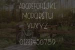Overgrown Font