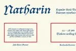 P22 Bastyan Pro Font