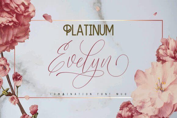 PLATINUM Evelyn Font