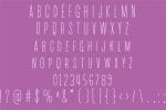 PN Beanpole Font