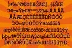 PN Homegrown Font