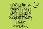PN Unfortunate News Ooze Font
