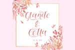 Pable Font