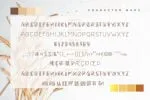 Padee Kapass Font