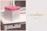 Paeonia Font