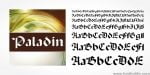 Paladin Font