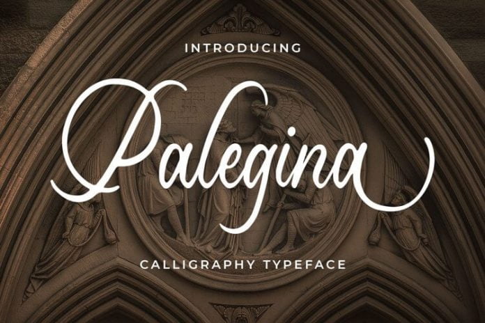 Palegina - Calligraphy Typeface