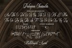 Palegina - Calligraphy Typeface