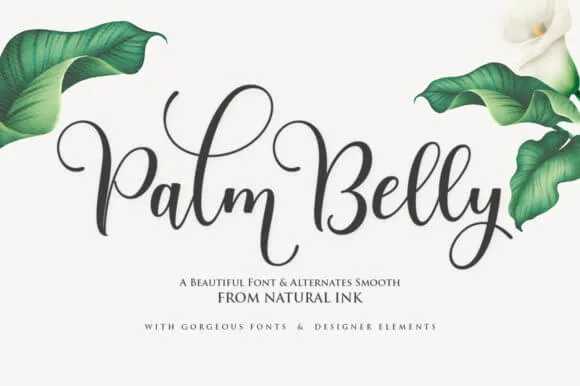 Palm Belly Font