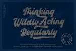 Panda Script Font