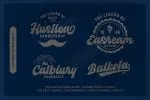 Panda Script Font