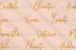 Pandertoos Font