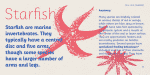 Papelli Font