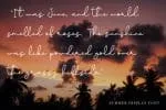 Paradise Sunshine Font