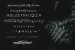 Paramore Font