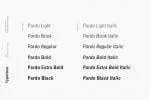 Pardo - Modern Type Family