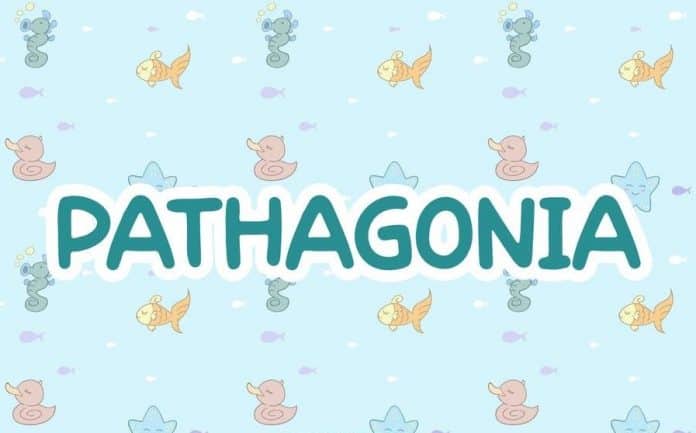 Pathagonia - Handwriting Kids font