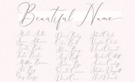 Pattricia Michella - Wedding & Romantic Script Font [2-Weights] Font