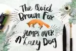Paula Paulina Font