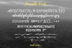 Pennello Script Font