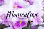 Perisland Font