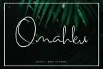 Perth Script Font