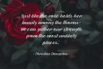 Petter And Sons - Romantic Beauty Script