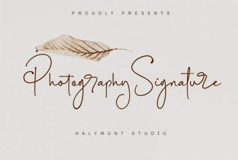Photography Signature Font