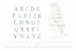 Pickley Font