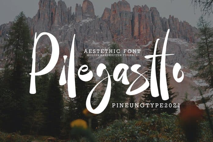 Pilegastto Font