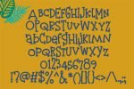 Pina Cool Font