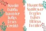 Pink Heart Font