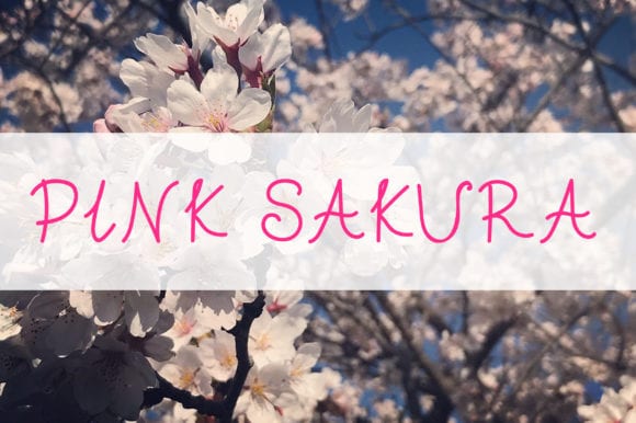 Pink Sakura Font