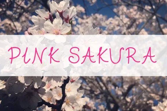 Pink Sakura Font