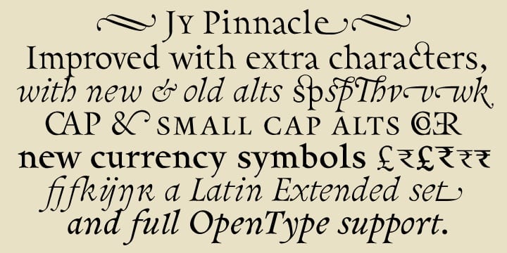 Pinnacle JY Pro Font Family
