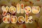 Pio Rounded Font
