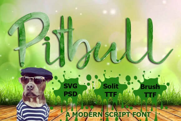 Pitbull Font